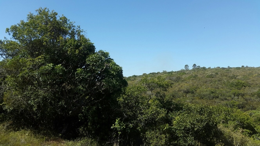 0 Bedroom Property for Sale in Uitenhage Rural Eastern Cape